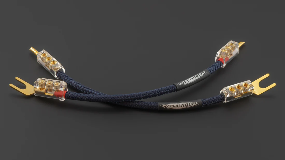 Dynamique Audio Tempest 2 Bi-wire 跳線
